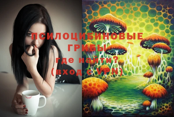 МДПВ Алзамай
