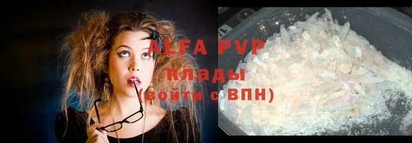 стафф Абинск