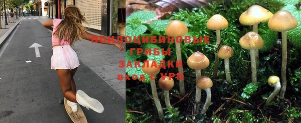 не бодяженный Абаза