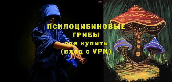 стафф Абинск