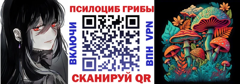Галлюциногенные грибы мухоморы  закладка  Монино 